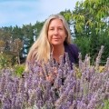 Angela Frieswyk